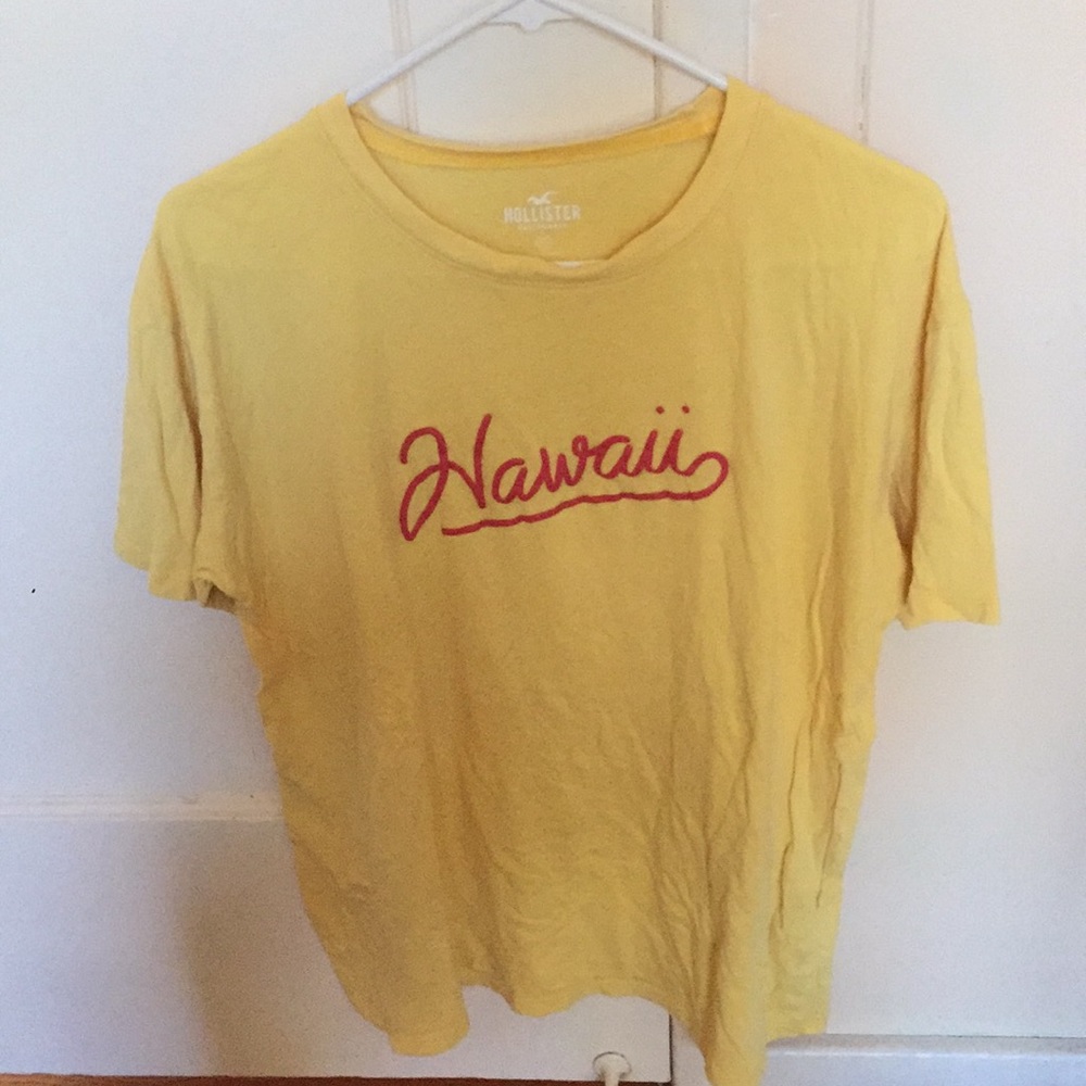 Hollister Hawaii top